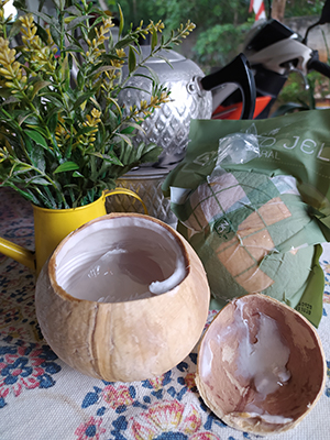 coconut jelly